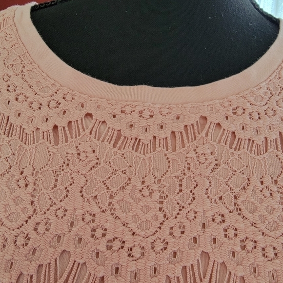 J Crew Dusty Pink Lace Overlay Tshirt Size M - Picture 2 of 10